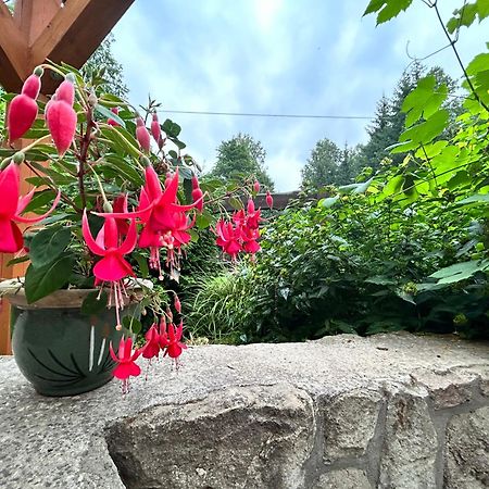 Zielona Roza Villa Wambierzyce Eksteriør bilde