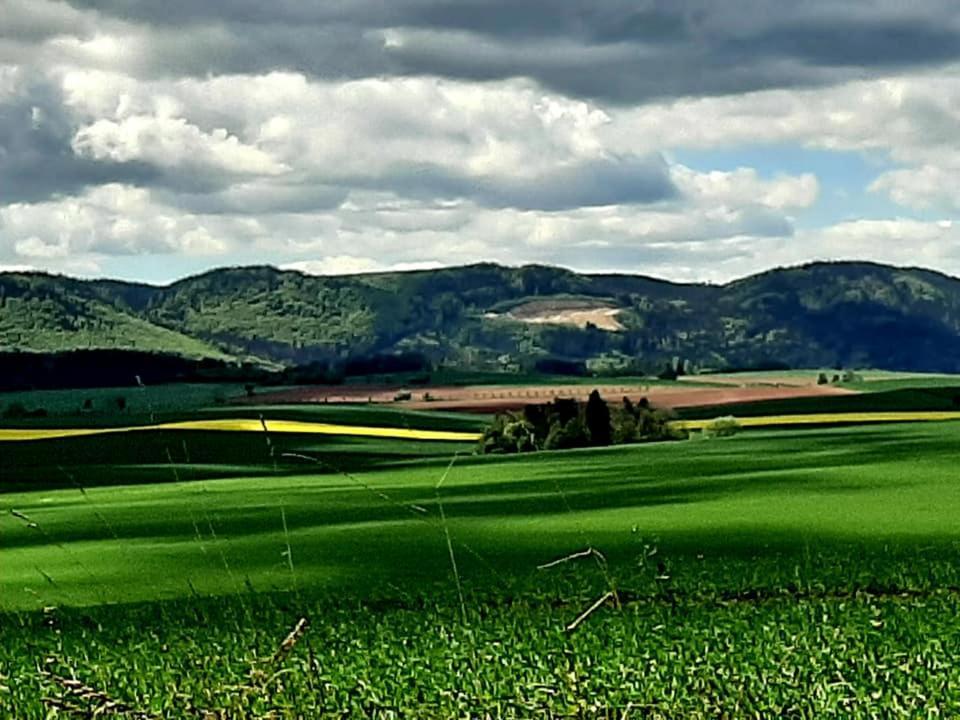 Zielona Roza Villa Wambierzyce Eksteriør bilde