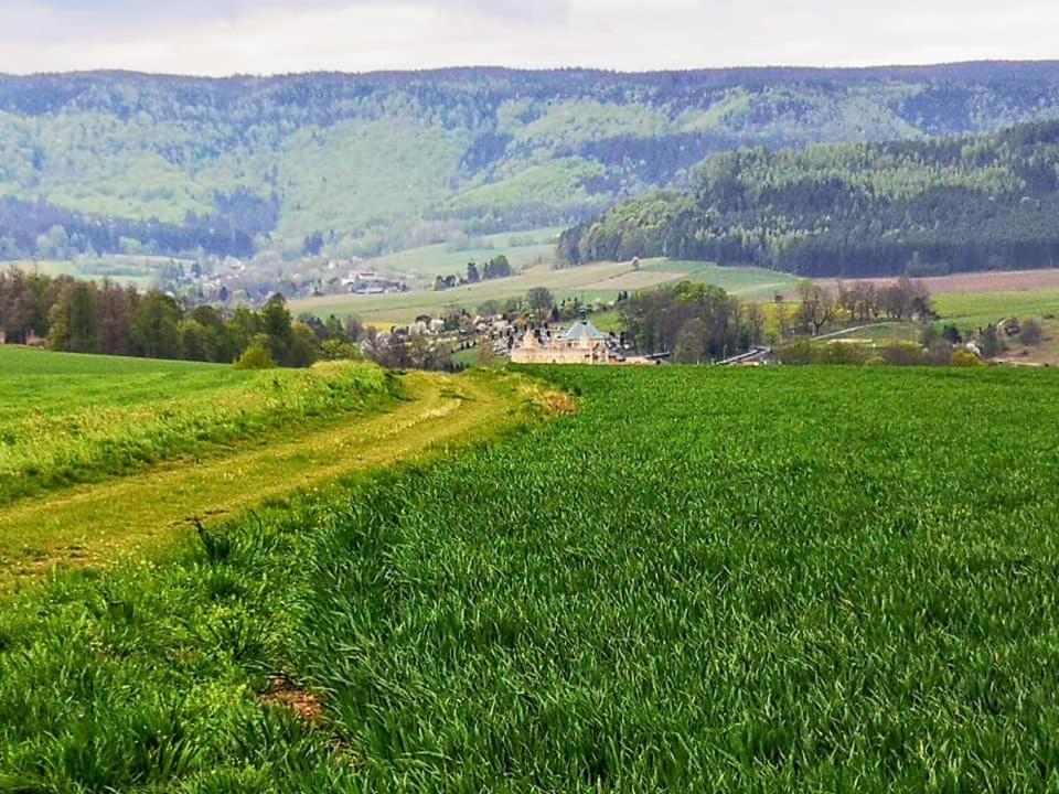 Zielona Roza Villa Wambierzyce Eksteriør bilde