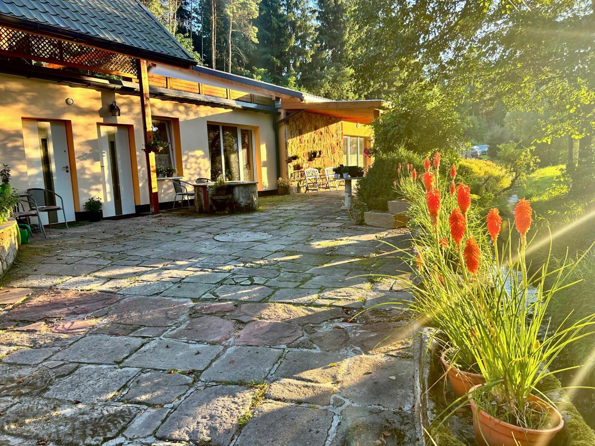 Zielona Roza Villa Wambierzyce Eksteriør bilde